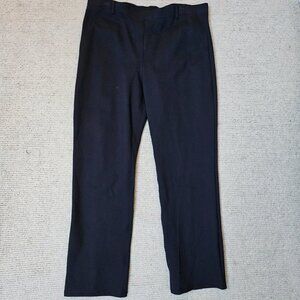 Quince Ultra-Stretch Ponte Straight Leg Pants Blue XLP XL Petite Office Casual
